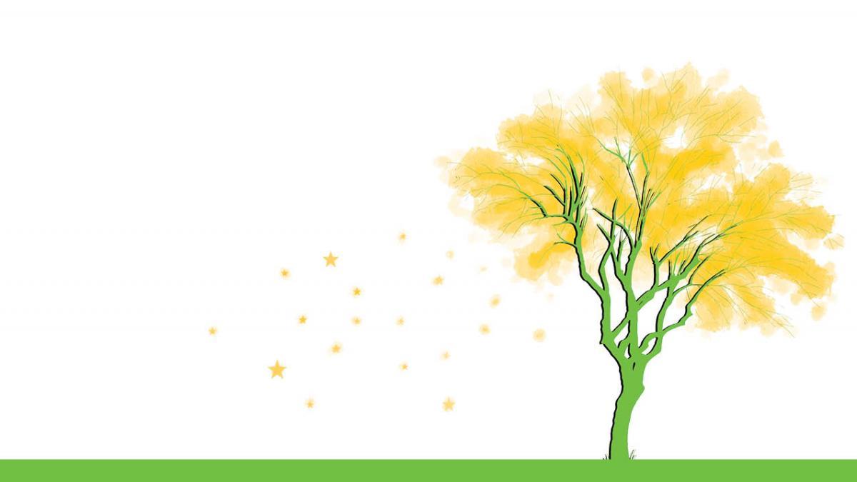 Image of a drawn Palo Verde with leaves falling.